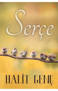 Serçe