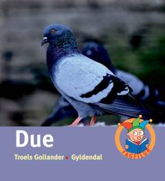 Due