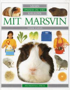 Mit marsvin