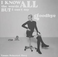 I know all the words but I can't say goodbye