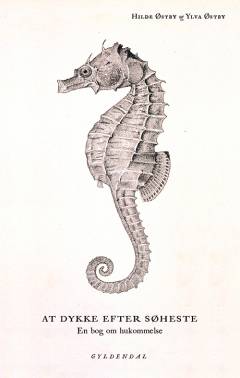 At dykke efter søheste : en bog om hukommelse