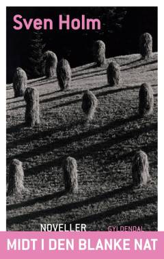 Midt i den blanke nat : noveller