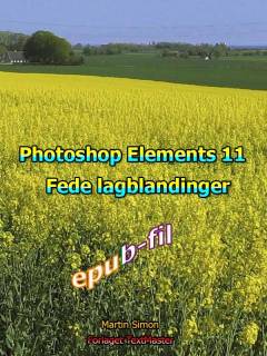 Photoshop Elements 11 - fede lagblandinger
