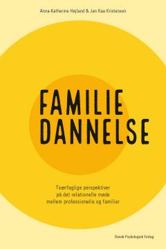 Familiedannelse : tværfaglige perspektiver på det relationelle møde mellem professionelle og familier