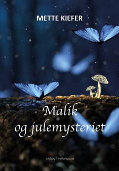 Malik og julemysteriet