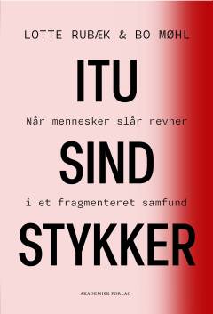 I tusind stykker : når mennesker slår revner i et fragmenteret samfund