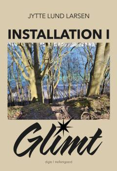 Installation i glimt
