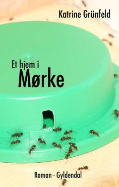 Et hjem i Mørke