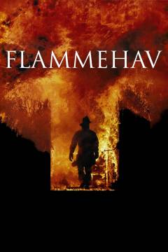 Film (dvd), 2006
