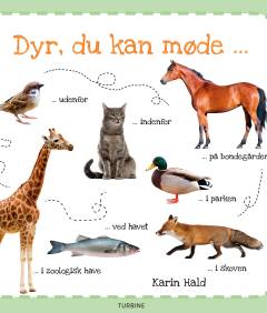 Dyr, du kan møde -