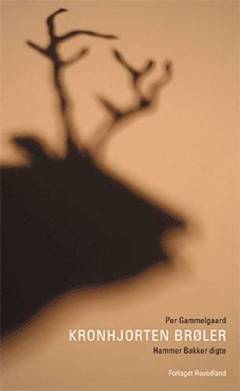 Bog, 2004