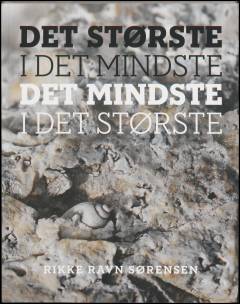 Det største i det mindste, det mindste i det største