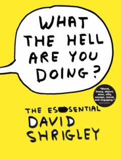 What the hell are you doing? : the essential David Shrigley