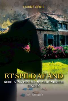 Et spild af ånd