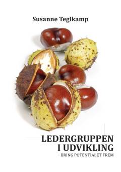 Ledergruppen i udvikling : bring potentialet frem