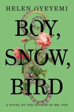 Boy, snow, bird