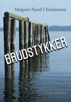 Brudstykker : noveller