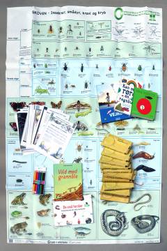 Naturkasse - forsøgskasse