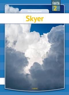 Skyer