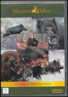 Wild boar fever 1-5