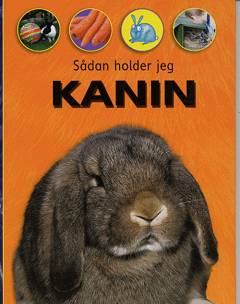 Sådan holder jeg kanin