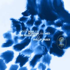 Stille som sne : nordisk Jul med DR PigeKoret & Phillip Faber