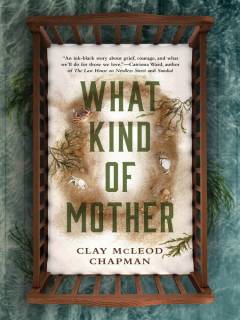 What kind of mother : a novel