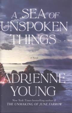 A sea of unspoken things : a novel