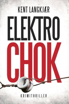 Elektrochok : krimithriller