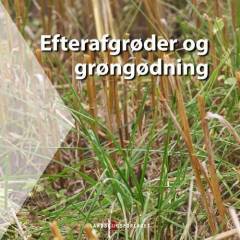 Efterafgrøder og grøngødning