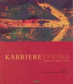 Karrierespring : 12 historier om at vælge den rette vej