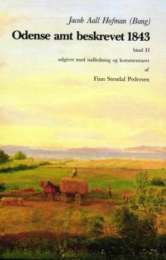 Odense amt beskrevet 1843. Bind 2