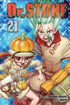 Dr. stone. Volume 21 : Stone sanctuar