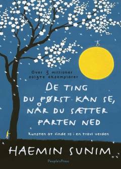 De ting du først kan se, når du sætter farten ned : kunsten at finde ro i en travl verden