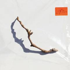 Musik (cd), ℗2023