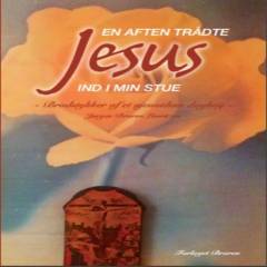 En aften trådte Jesus ind i min stue : brudstykker af et øjenvidnes dagbog