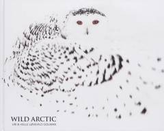 Wild Arctic