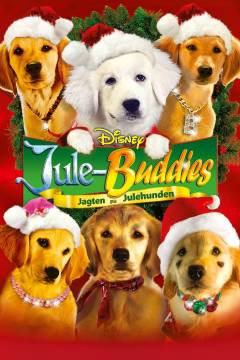 Jule-buddies - jagten på julehunden