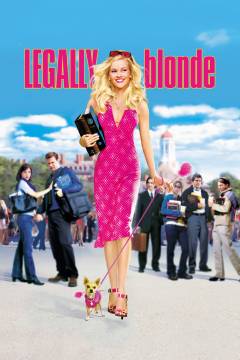 Film (dvd), 2001