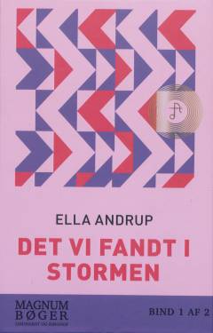 Det vi fandt i stormen. Bind 2 (Stor skrift)