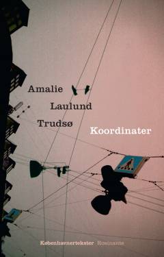 Koordinater : københavnertekster