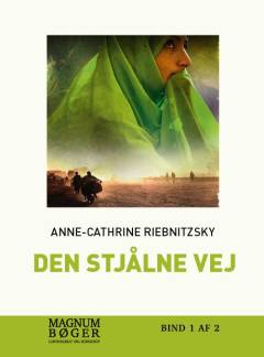 Den stjålne vej. Bind 1 (Stor skrift)