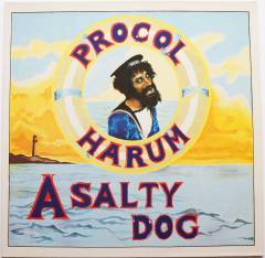 A salty dog