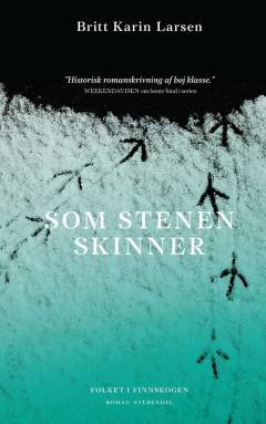 Som stenen skinner
