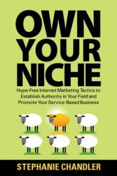 Own your niche : hype-free internet marketing tactics to establish authority in your field and promote your service-based business