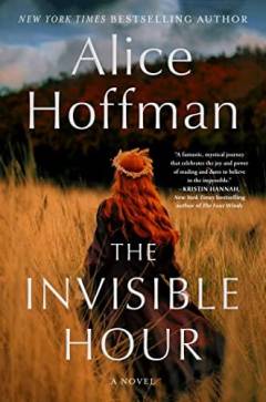 The invisible hour : a novel