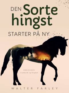 Den sorte hingst starter påny