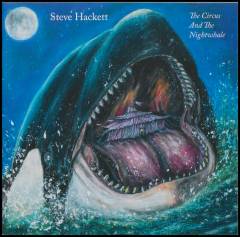 The circus and the nightwhale