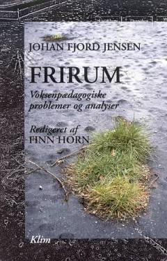 Frirum : voksenpædagogiske problemer og analyser