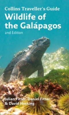 Wildlife of the Galápagos